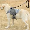 leash