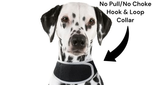 Waterproof GPS Collar Cell Phone Pet Tracker with Rechargeable Battery Size:L