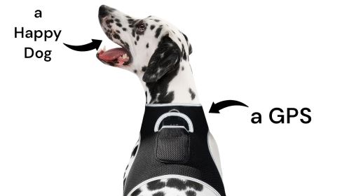 Realtime Pet Security GPS Dog Tracking Device Waterproof Pet Locator Size:L