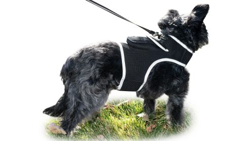 GSM GPRS GPS Dog Tracking System Waterproof Collar Pet Location Finder Size:L